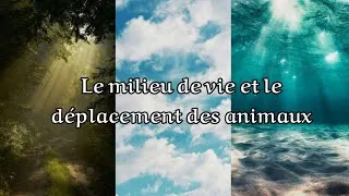 Miniature : Le milieu de vie et le déplacement des animaux