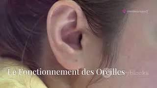 Miniature : 16/ l'Oreille Humaine