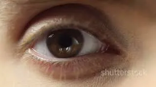 Miniature : 15/ Les Yeux