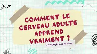 Miniature : Cerveau adulte VS Cerveau Enfant, comment apprendre ?