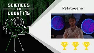 Miniature : Patatogène