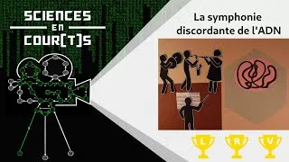 Miniature : La symphonie discordante de l'ADN