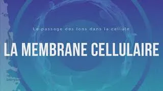 Miniature : Eau de boisson - Eau Quotidienne - Théorie Quantique