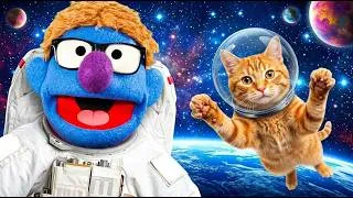Miniature : Des animaux dans l'espace - Norbert explique nous