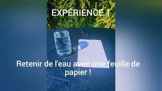 Miniature : EXPÉRIENCE 1: RETENIR DE L'EAU AVEC UNE FEUILLE EN PAPIER !