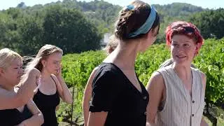 Miniature : Summer class "Immersion en Provence" | Sciences Po Aix