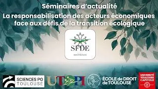 Miniature : Sanctionner les acteurs economiques : L'acclimatation du droit penal aux enjeux environnementaux