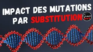 Miniature : L'IMPACT DES MUTATIONS PAR SUBSTITUTION - PREMIERE SPECIALITE SVT