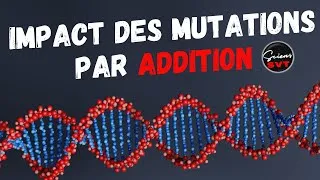 Miniature : IMPACT DES MUTATION DE TYPE ADDITION - PREMIERE SPECIALITE SVT