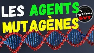 Miniature : LES AGENTS MUTAGENES - PREMIERE SPECIALITE SVT