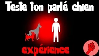 Miniature : Teste ton parlé chien!