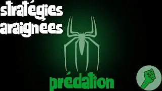 Miniature : 7++ stratégies prédatrices des araignées
