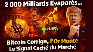 Miniature : Bear Market Crypto : Ce Que les Institutions Savent Que Vous Ignorez
