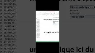 Miniature : Guide TCD Excel : Débutants & Avancés