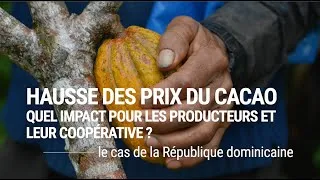 Miniature : Prix du cacao : les filières bio et équitables menacées