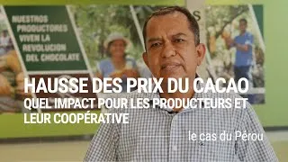 Miniature : Prix du cacao : les filières bio et équitables menacées