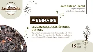 Miniature : [Webinaire] Les services écosystémiques des sols