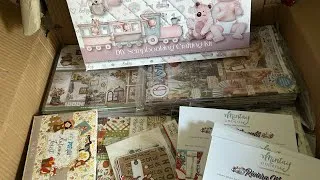 Miniature : Nouveautés Scrap // On commence bien la semaine🥰