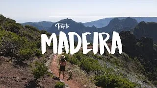 Miniature : Trip to Madeira 2022