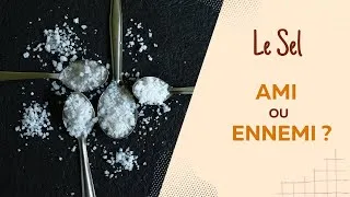 Miniature : Le sel, notre ami ou un ennemi?