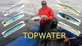 Miniature : Rien de plus efficace qu'une pêche au TOPWATER 🎣🎣