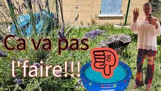 Miniature : Vlog: Cata piscine et visite du jardin .