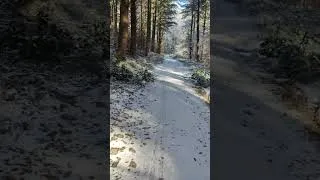 Miniature : Footing enneigé ❄️🥶