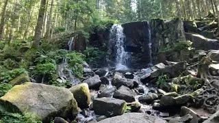 Miniature : Randonnée au départ du lac de Gérardmer. Cascade du saut de la bourrique. Et de Mérelle.