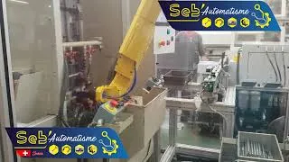 Miniature : Flex 6 SEB automatisme