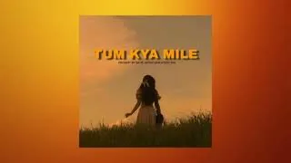Miniature : Tum Kya Mile - Audio | Rocky Aur Rani Kii Prem Kahaani |
