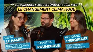 Miniature : #Agriculturerégénératrice : comment transformer une filière mondiale ?