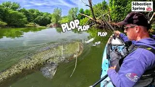 Miniature : Ce WHOPPER PLOPPER est une DINGUERIE pour les gros brochets et les silures en été !!!
