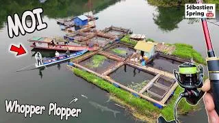 Miniature : Cet endroit mystérieux cache des poissons rares, que très peu de pêcheurs connaissent !