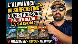 Miniature : l'amanach de surfcasting  quels poissons pêcher à chaque saison