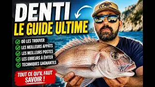 Miniature : Le Denti : Tout ce qu'il faut savoir pour enfin en attraper !