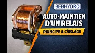Miniature : Relais électrique auto : pourquoi il ne tient pas ? (erreur fréquente)
