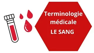 Miniature : TERMINOLOGIE MEDICALE: le sang (Hémo-, Hémato-)