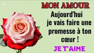 Miniature : Mon amour ❤️ je m'engage à t'aimer avec sincérité et te respecté | message d'amour 