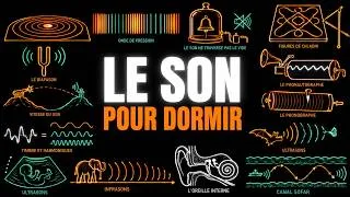 Miniature : Il grave sa VOIX en 1857, on ne l'écoutera qu'en 2008, pour dormir
