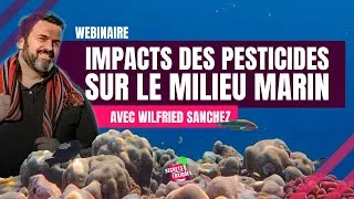 Miniature : Les Impacts des pesticides sur le milieu Marin - Webinaire par Wilfried Sanchez