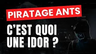 Miniature : Qu'est-ce qu'une IDOR ? Exploitation et prévention