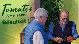 Miniature : Tomates sous serre, résultat 5 mois après : les récoltes, les succès, les erreurs, on débrief !
