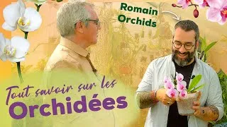 Miniature : Orchidées : bien les choisir, rempotage, arrosage, floraison, exposition et fausses bonnes idées !