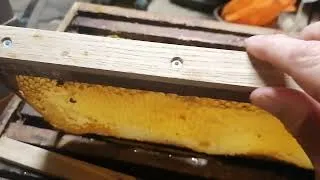 Miniature : Extraction de cadre voinot sur tous les extracteur 