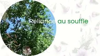 Miniature : Méditation de reliance au souffle