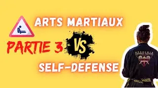 Miniature : Self VS Penchak Partie 3