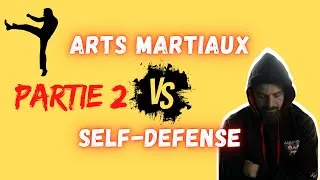 Miniature : Self-Défense vs penchak partie 2