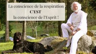 Miniature : Comment accéder directement à l'esprit ! I Selim Aïssel