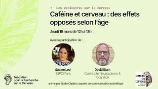 Miniature : Caféine et cerveau : des effets opposés selon l’âge