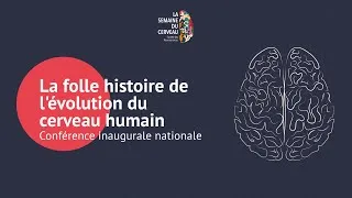 Miniature : La folle histoire de l'évolution du cerveau humain - Conférence inaugurale 2025